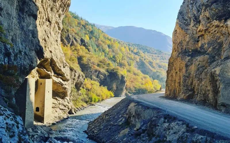 Аргунское ущелье и некрополь Цой-Педе