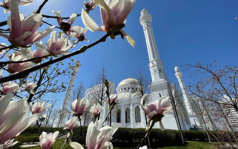 Влюбиться в Грозный за один день