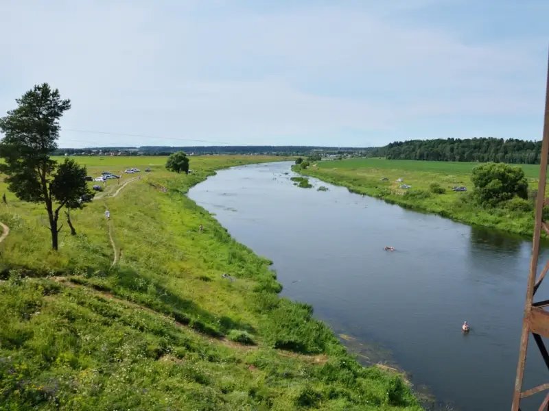 Необычные музеи под Звенигородом: где кот мурлычет, а дуб угощает.
