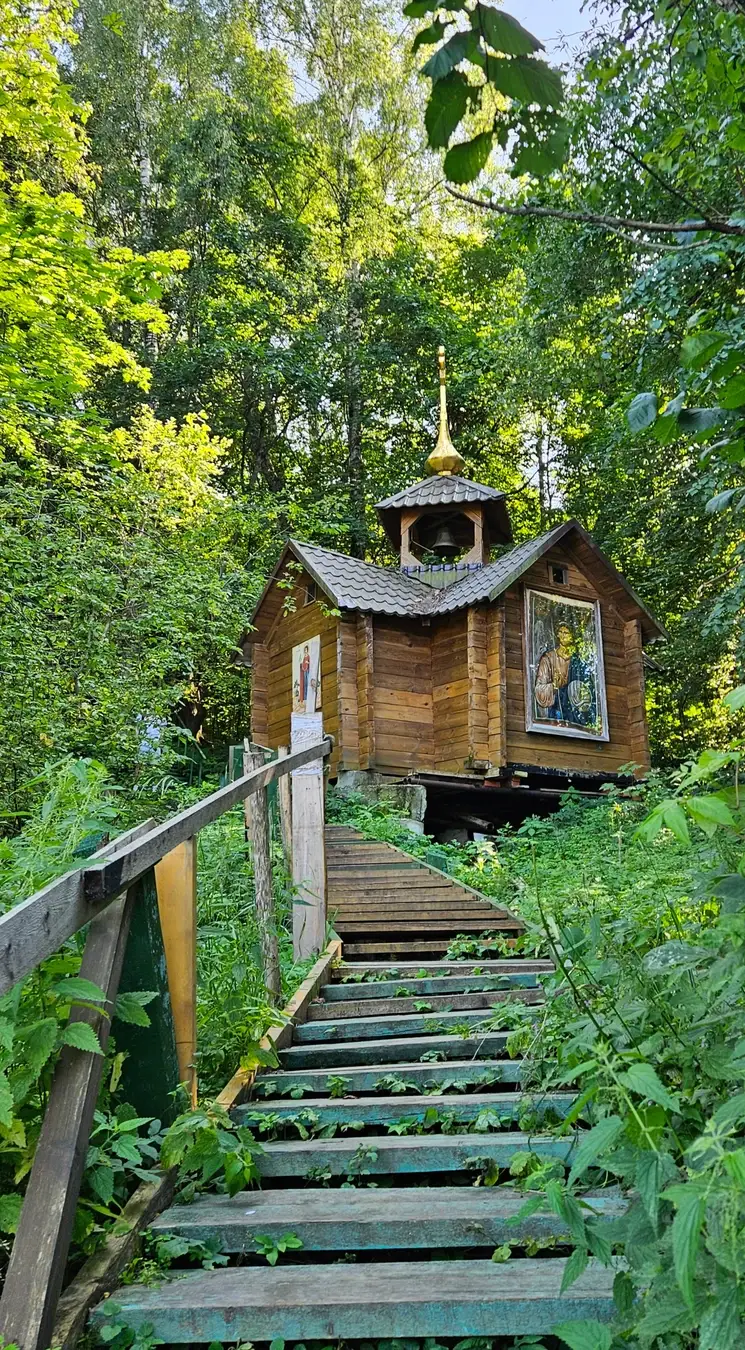 Прогулка на сапах в Звенигороде с посещением Саввино-Сторожевского монастыря и родника в Дунино