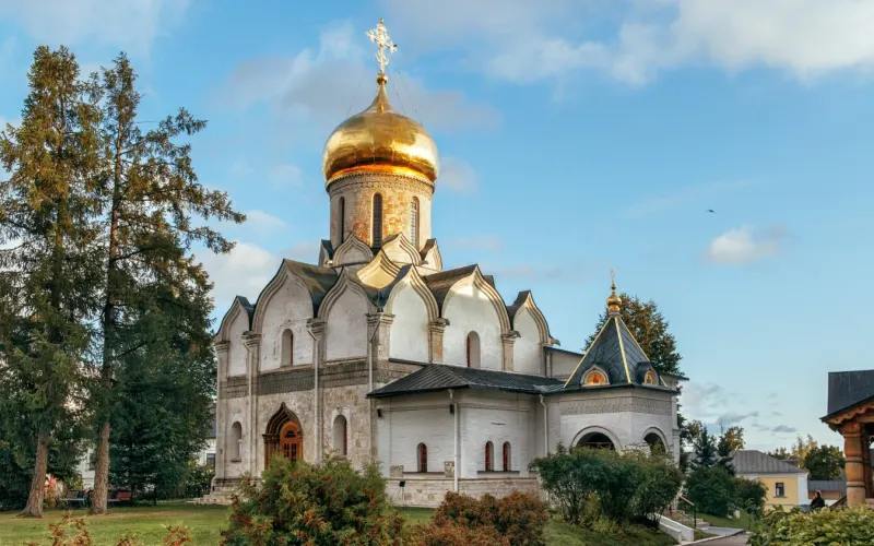 В гости к дубам и котам: семейная прогулка по Звенигороду (на вашем авто или такси)